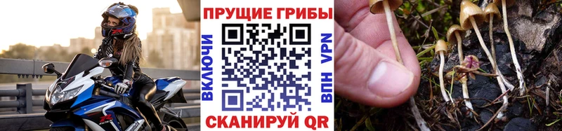 Купить где  Елец  Галлюциногенные грибы прущие грибы 