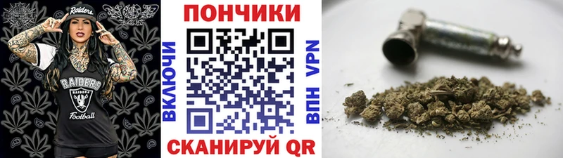 Конопля сатива Купить закладки Елец